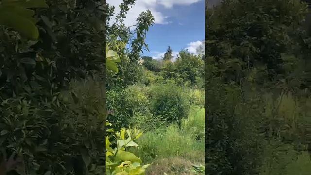 Развалины Сиракуз! Сицилия