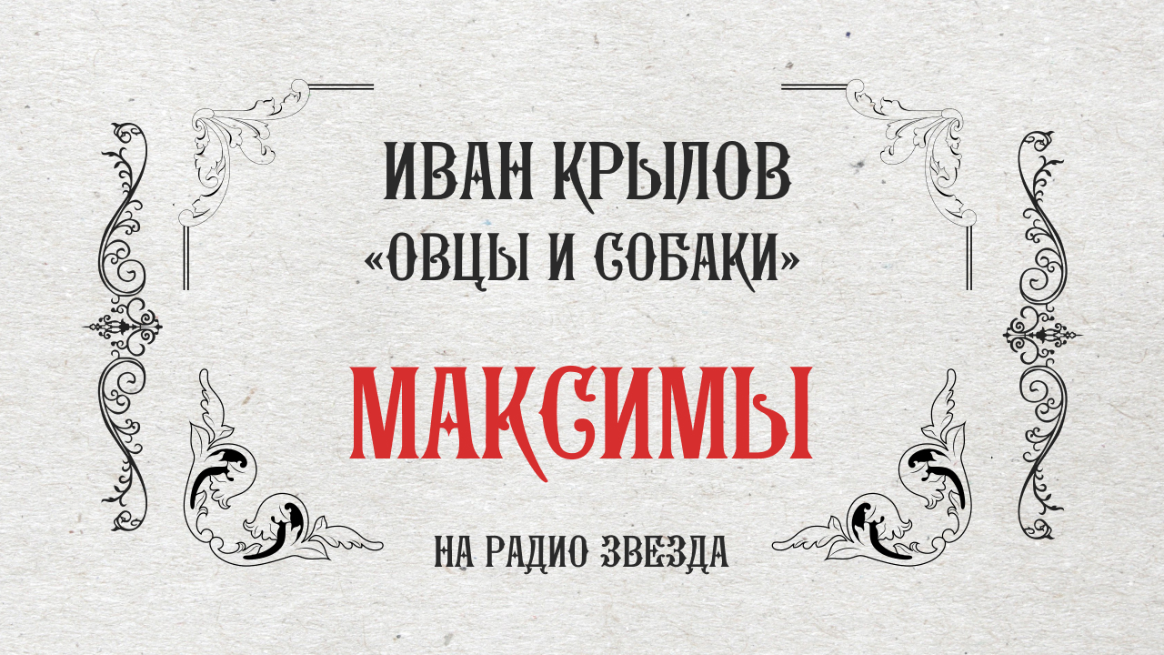 МАКСИМЫ: Овцы и собаки