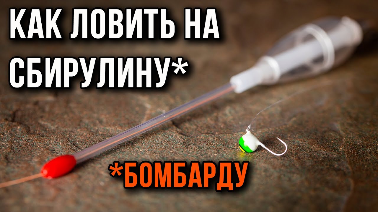 Как ловить на сбирулину (бомбарду) монтаж снасти и техника ловли