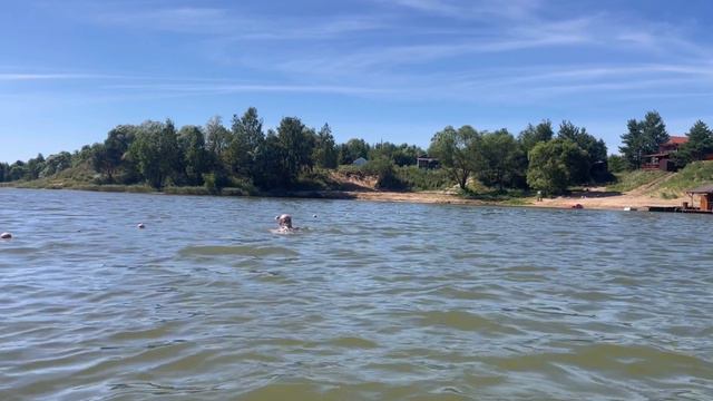 Первые шаги в плавании