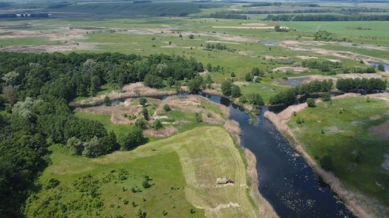 Село Кутки с высоты птичьего полёта, Воронежская область. Часть 2.  Качество видео 4К