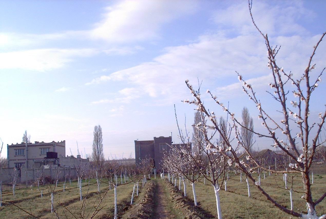 САД КОНЦЕПЦИЯ АУДИО