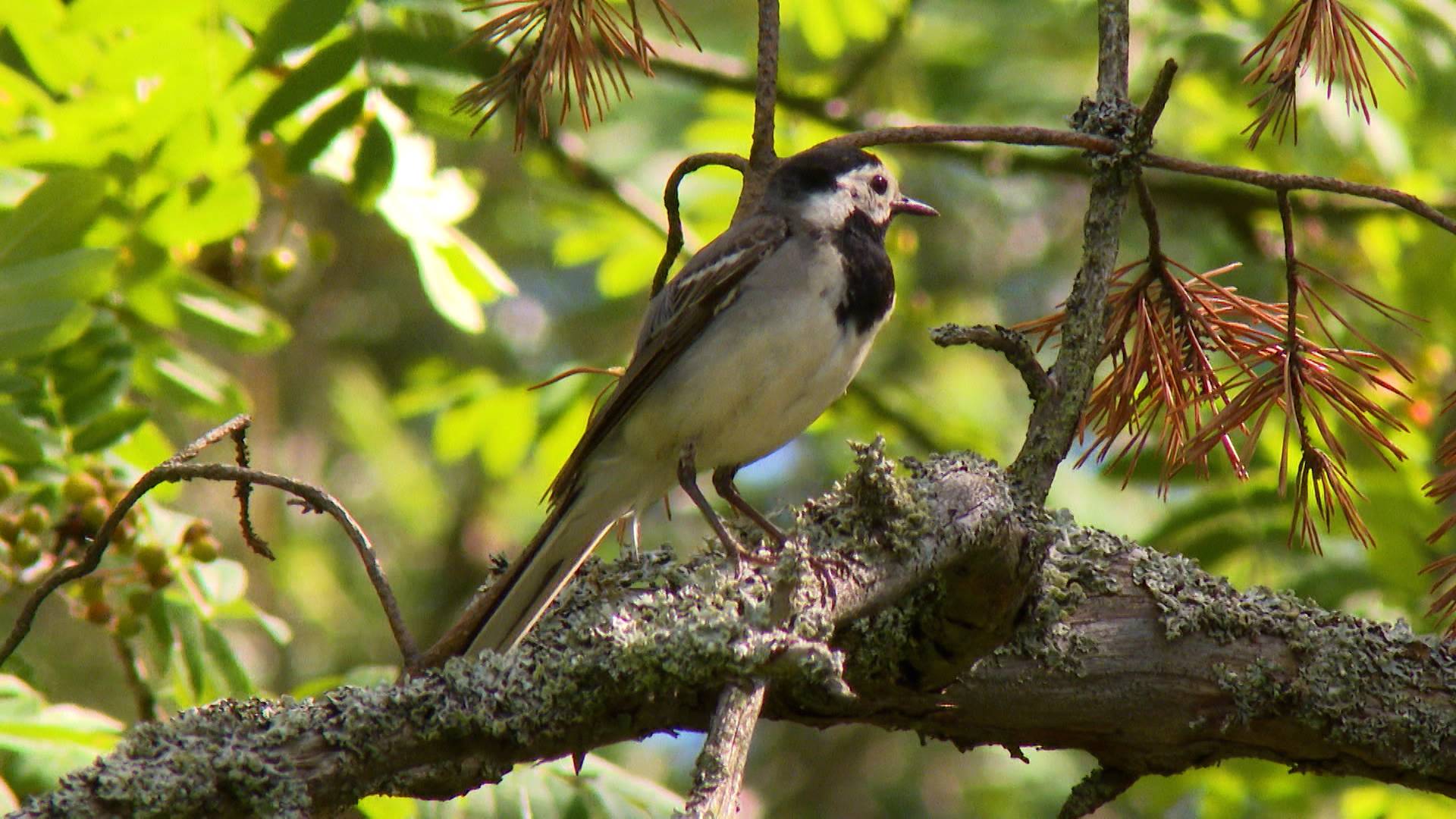 Дикие выходные с Павлом Глазковым. 20 июля