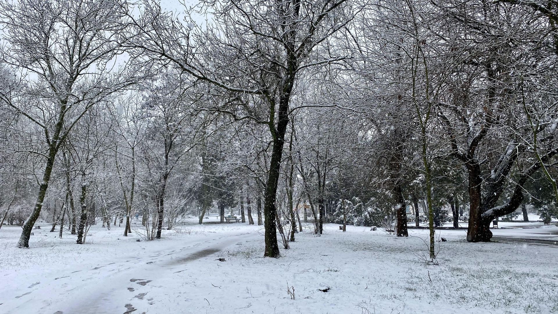 Крым засыпает снегом, хотя зима уже закончилась. Почти прямо эфир. Джанкой сегодня
