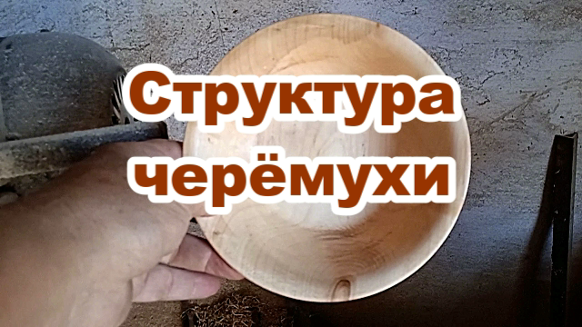 Структура черемухи. Токарные работы по дереву.mp4