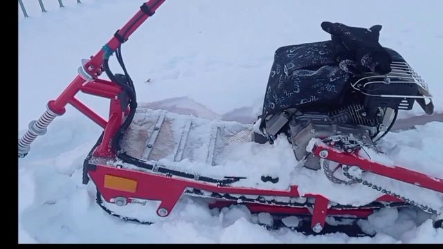 Лыжный модуль к Мотосноуборду.
Первый короткий  тест в городе.