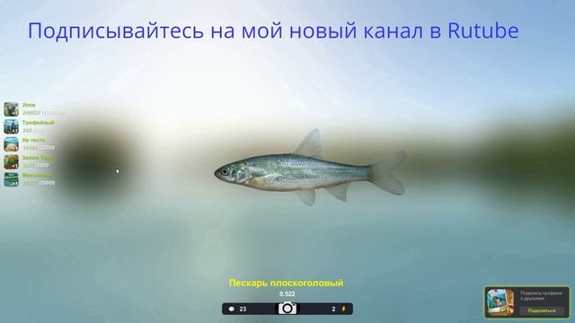 Пескарь плоскоголовый, трофей 522 грамма, игра Трофейная рыбалка 2