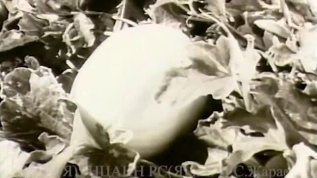 С Днем защиты детей! Дети в советской кинохронике Якутии.mp4