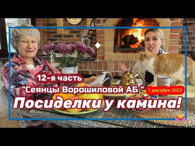 Посиделки у камина. Часть 12. Сеянцы пионов Ворошиловой А.Б. / Сад Ворошиловой