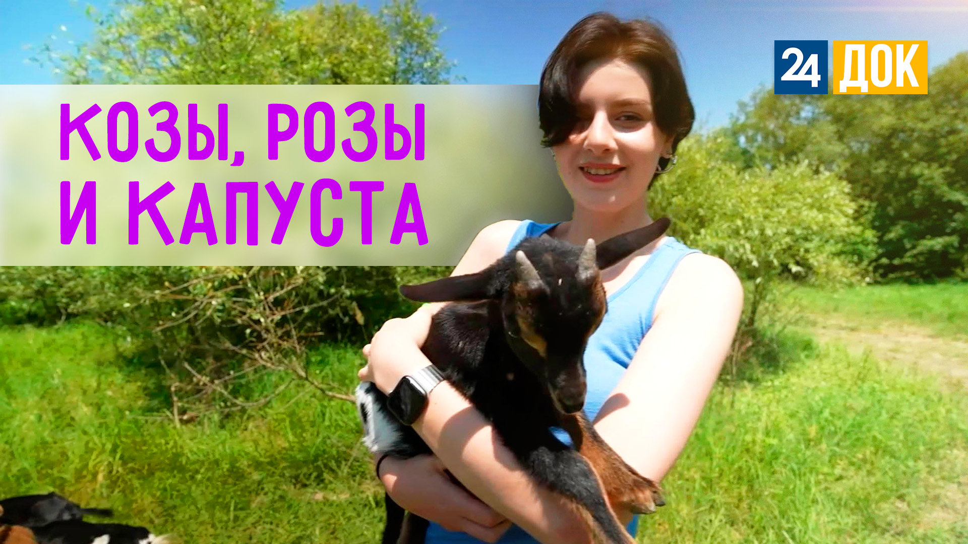 Как выращивать коз, капусту и цветы? АГРОНОРМ