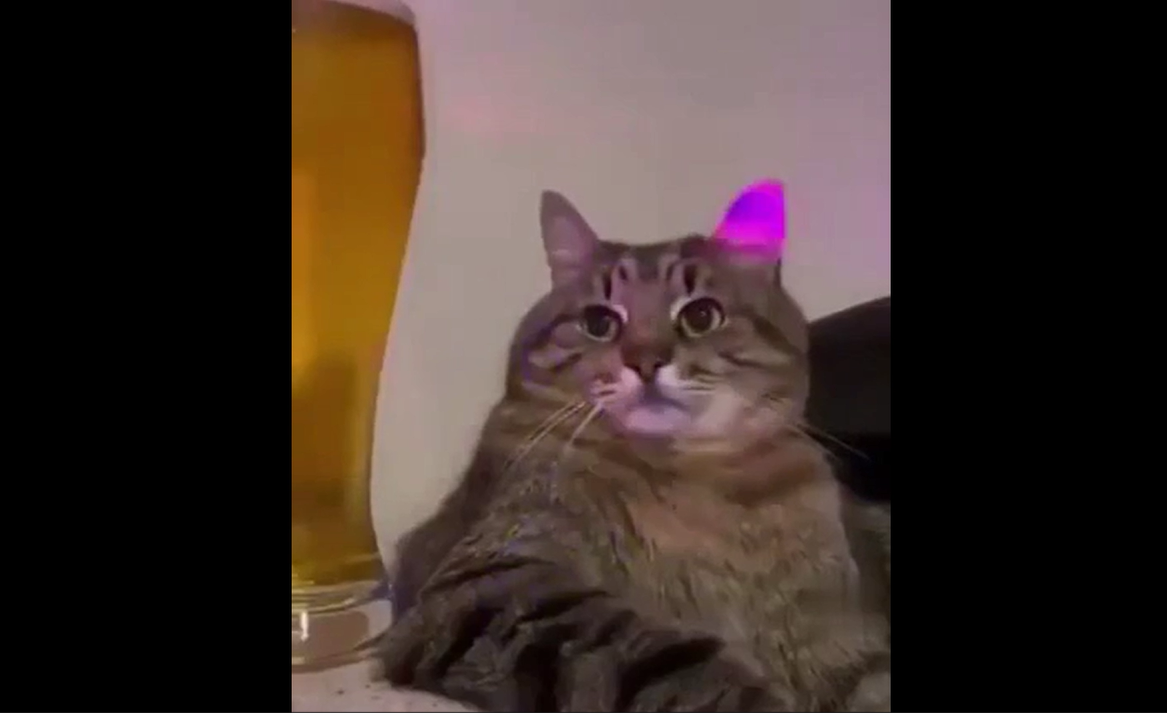 Ты на вечеринке