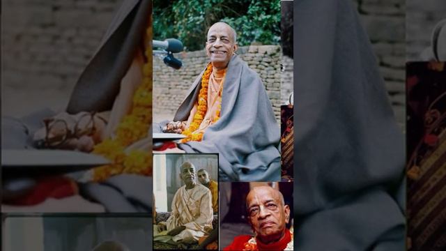 Вынужден ли человек есть животных? Шрила Прабхупада