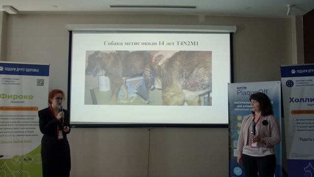 Алгоритм ведения пациента с подозрением на онкологию #животные. Конференция по #онкологии