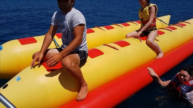 АДЛЕР БАНАН ДЕЛЬФИНЫ