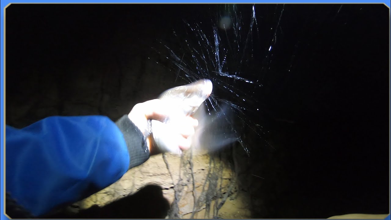 Ночная рыбалка на фидер. В конце августа на Вятке. Сезон 2021.