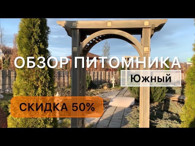 Осенняя окраска можжевельников. Сосны, ели. Цены, сорта. Выставочный сад питомника. Дневник садовода