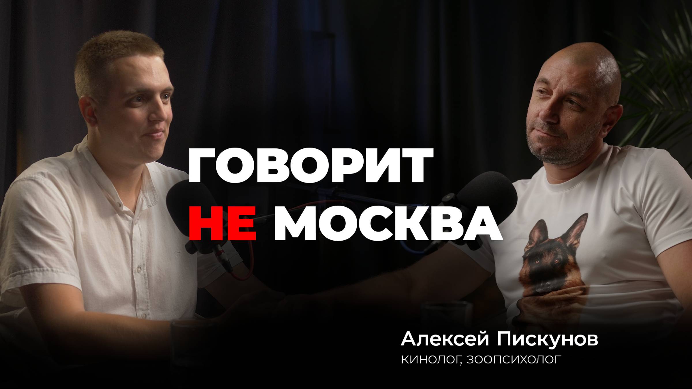 Говорит не Москва #7 Алексей Пискунов, кинолог, зоопсихолог #кинолог #собаки #питомцы #зоопсихолог