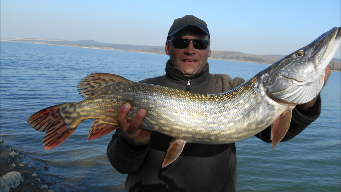 Ловля трофейной щуки поздней осенью.2015.