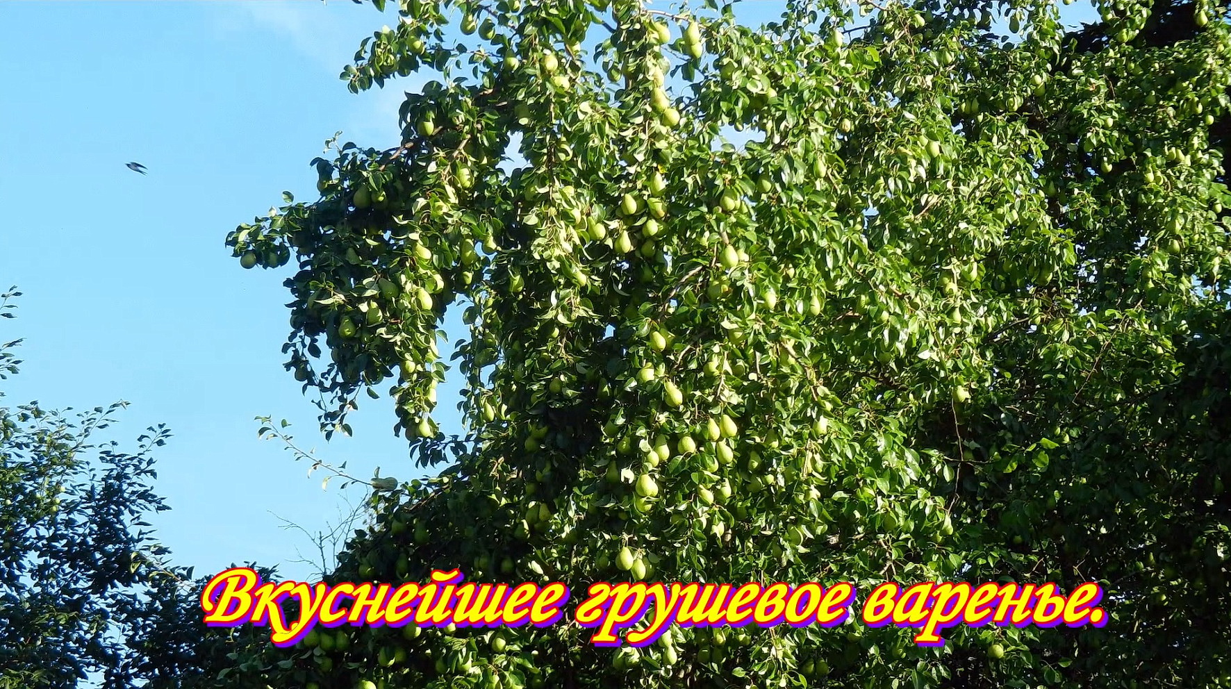 Янтарное ГРУШЕВОЕ варенье, очень вкусное.