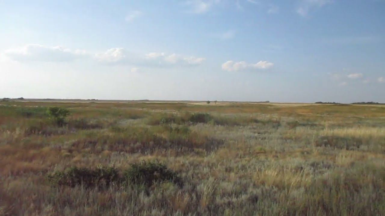 Опустевшее село Овражное (колония Lindenau), Энгельсский район