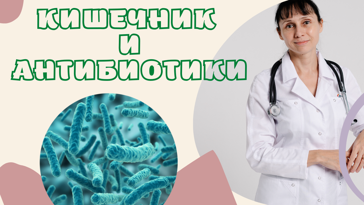 Кишечник и антибиотики Доктор Лисенкова