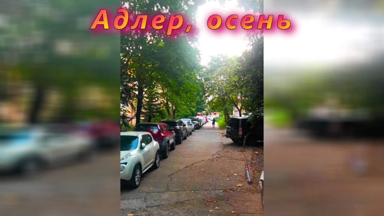 Адлер осень