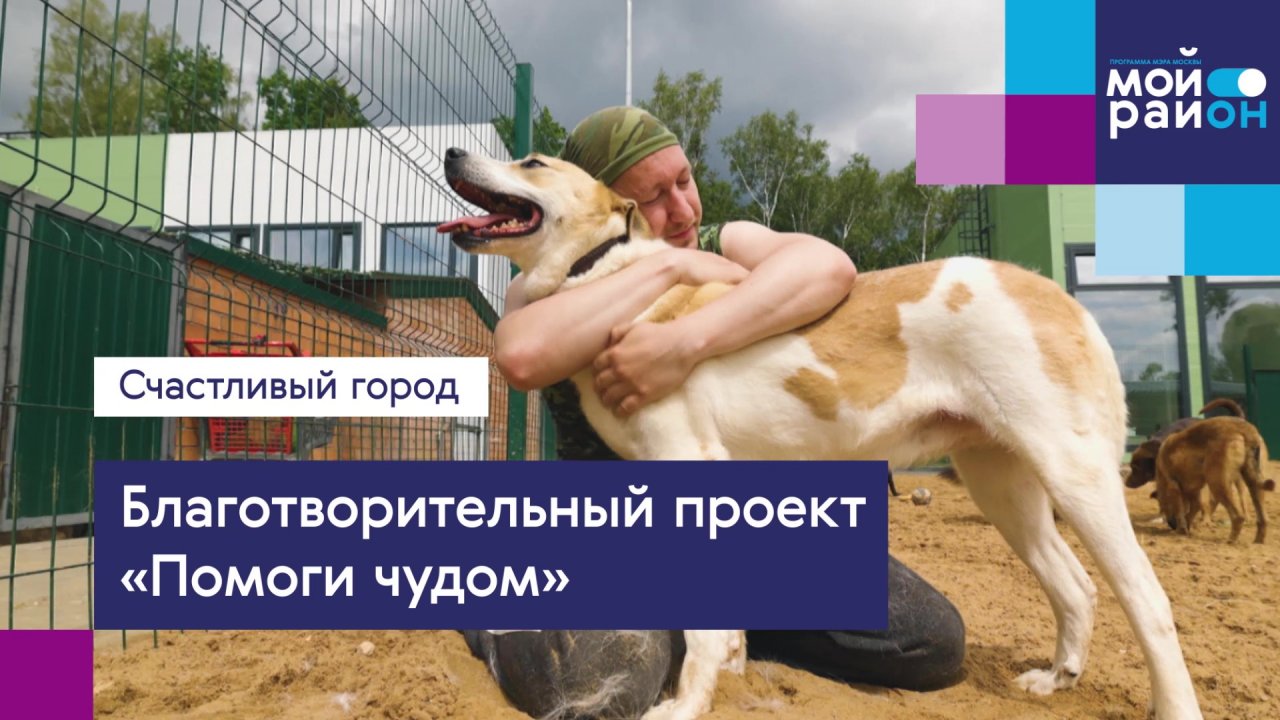 Проекты, которые меняют жизнь: «Помоги чудом»