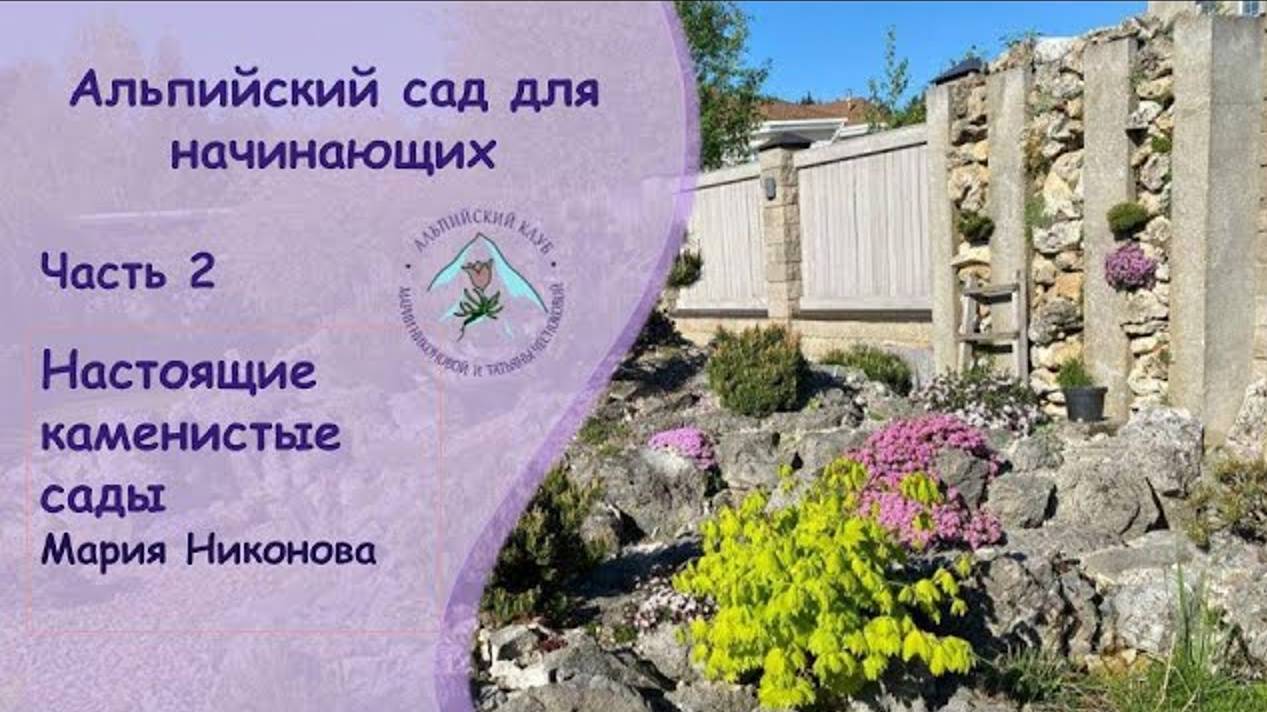 АЛЬПИЙСКИЙ САД ДЛЯ НАЧИНАЮЩИХ. ЧАСТЬ 2. НАСТОЯЩИЕ КАМЕНИСТЫЕ САДЫ