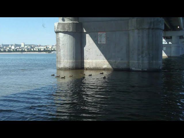 Осень. Пляж️. Волга⛵. Утьки. 4 сентября️)