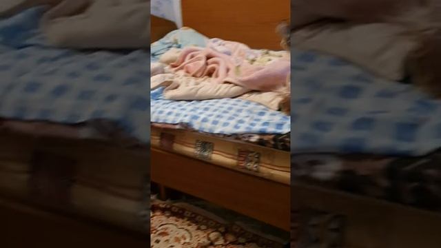 23.09.2019 БЕДНЫЙ СОБАКЕН ЗАСКУЧАЛ ПО ХОЗЯЙКЕ!???.mp4