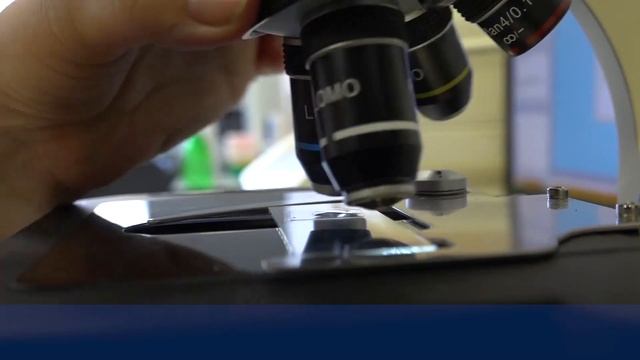 Итоги 2021 года СевГУ.mp4