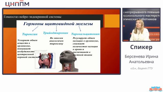 Аллостаз (гомеостаз в измененных условиях среды)