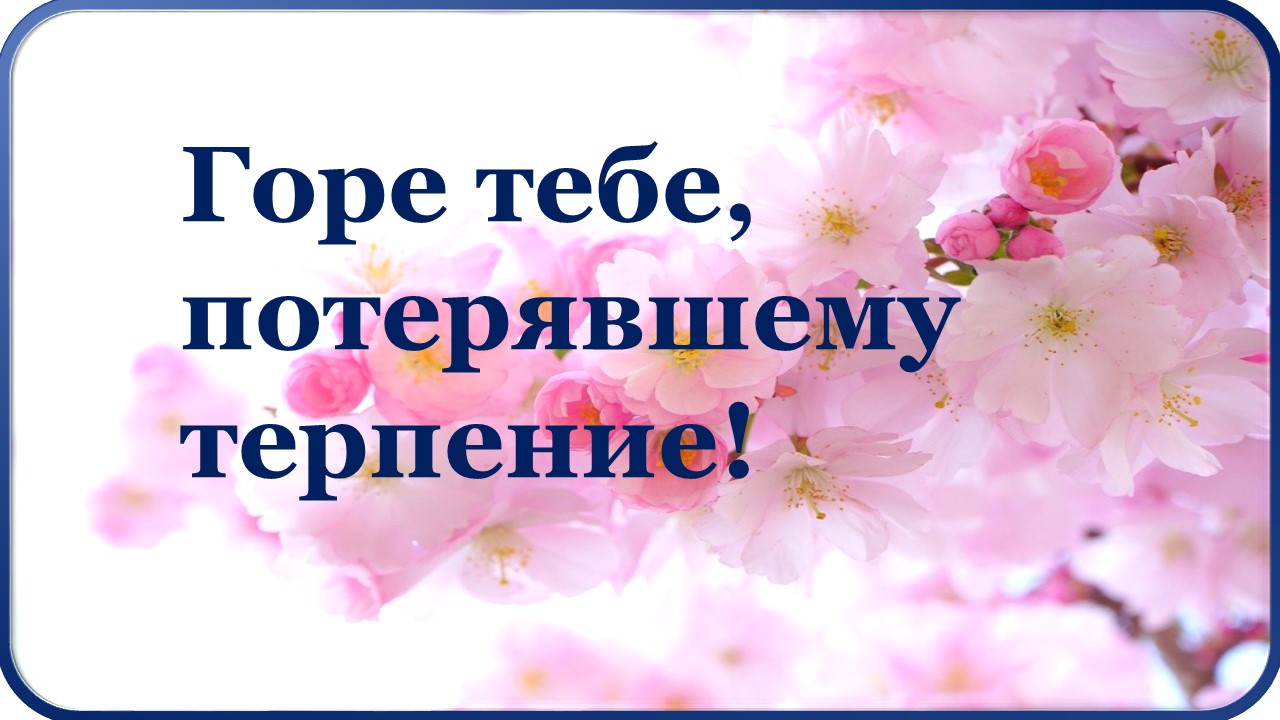 Не кричите! Образование ума, мудрость.