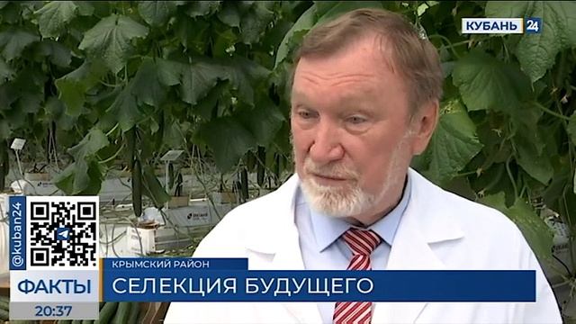 День открытых дверей в Крымске