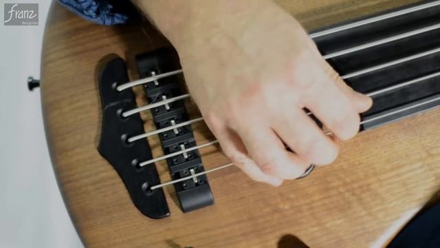 Франц бас-гитарист Сириус Фретлесс