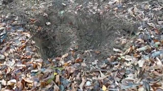 Учи матчасть))). Немецкая корова с жетоном. Юмор от копателей.