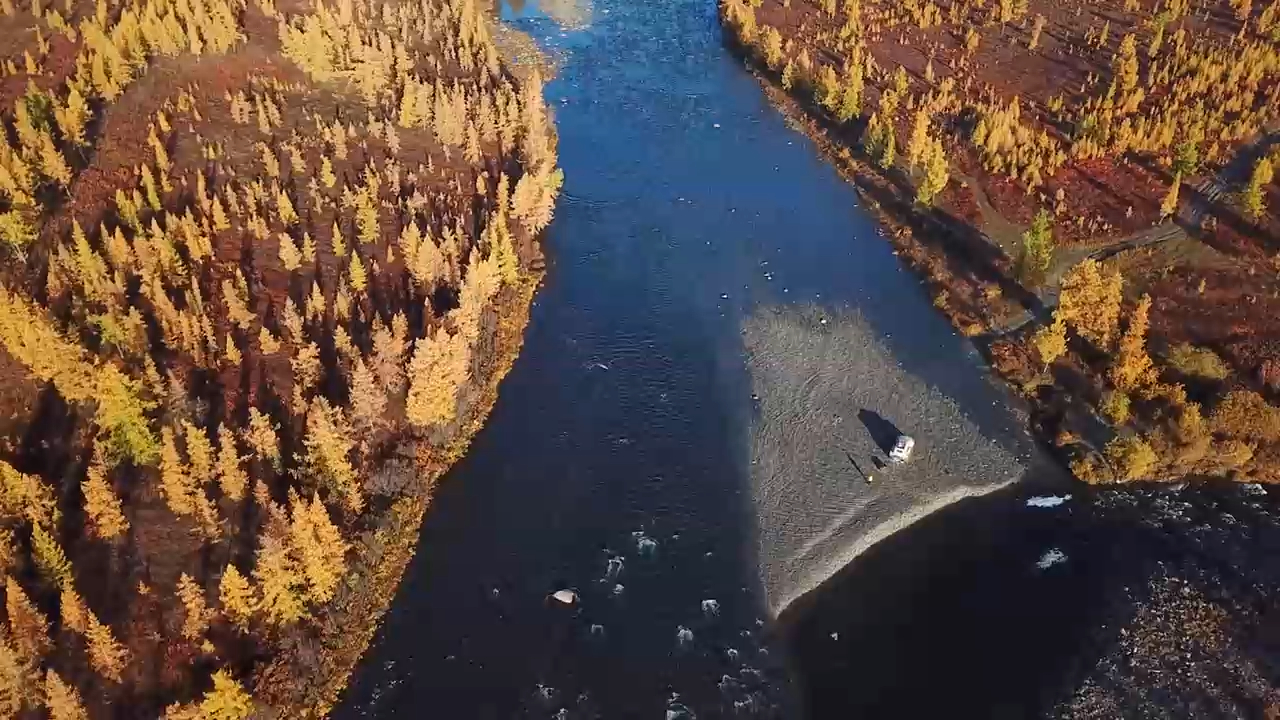 Природа Ямала, ЯНАО