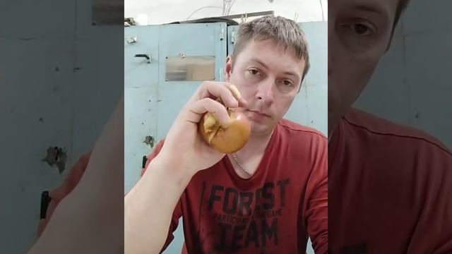 Раздавил яблоко рукой.?