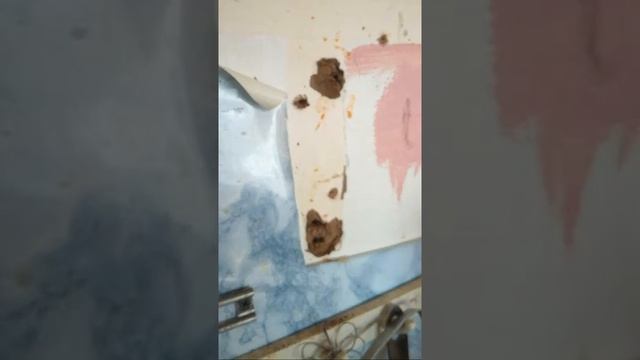 Стена Из ЧЕГО Она Сделана .mp4