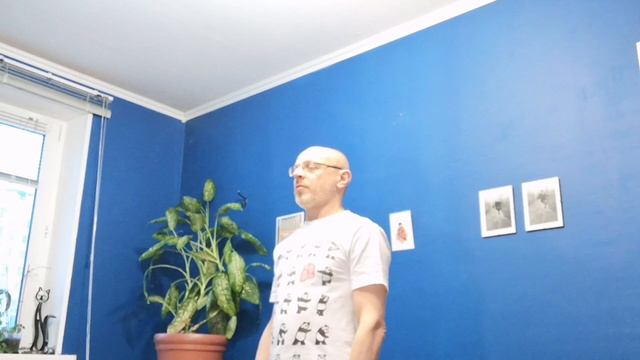 Цигун "Поддерживание Луны" (обзор книги "Искусство цигун", Вон Кью-Кит).