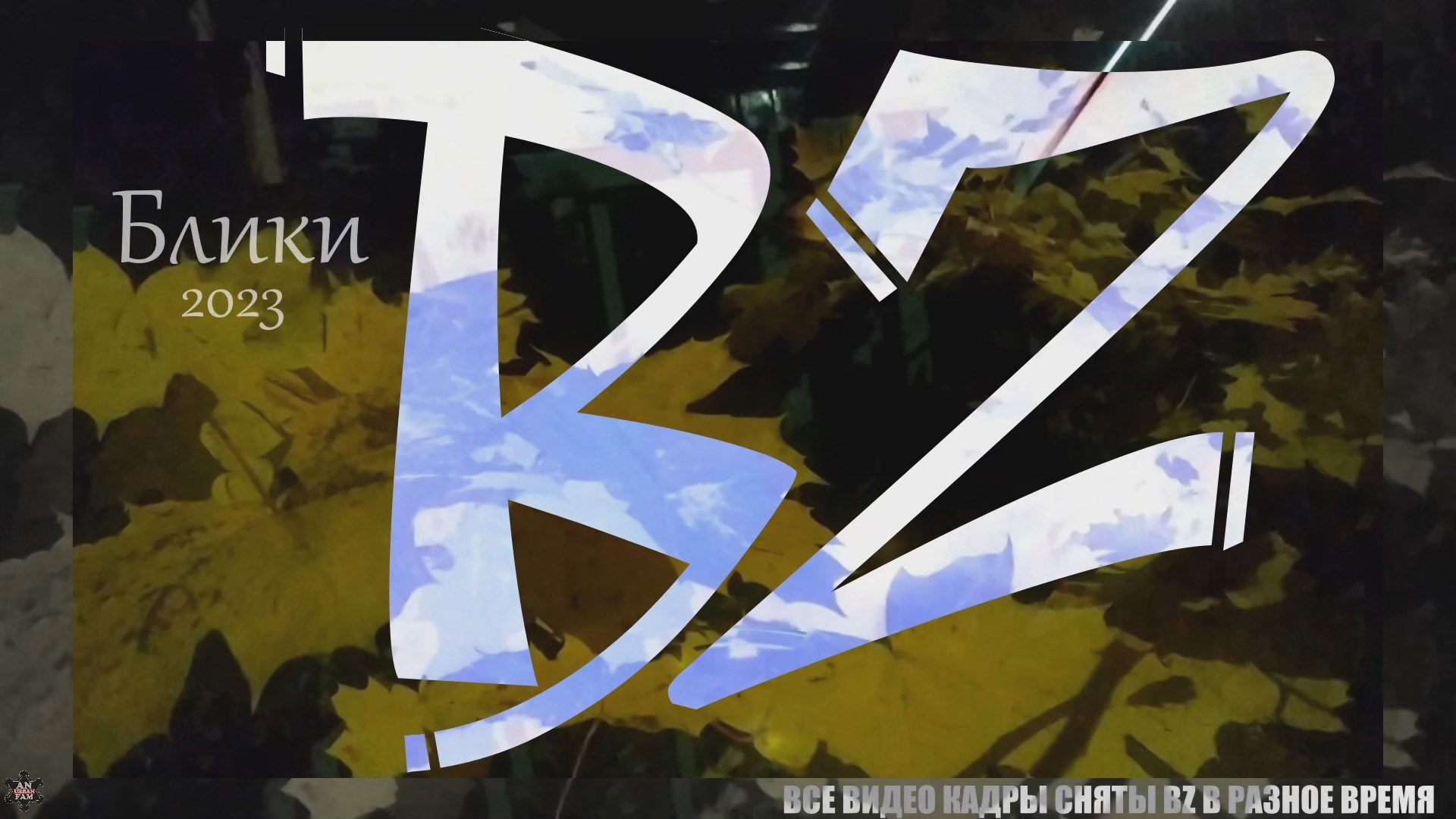 ANUF_BZ_Блики (стих) 2023