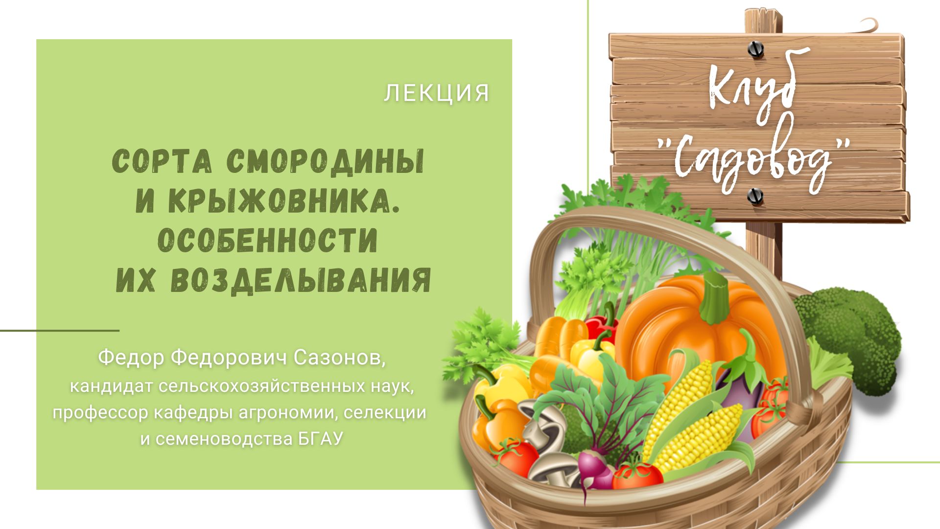 Лекция Ф. Ф. Сазонова «Сорта смородины и крыжовника. Особенности их возделывания». Часть 1