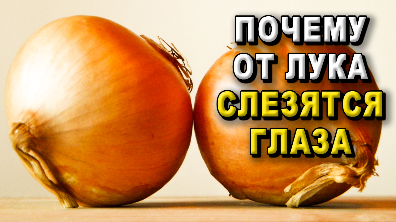 Почему от лука слезятся глаза?