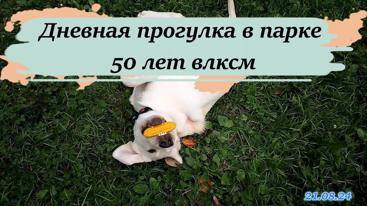 Дневная прогулка в парке 50 лет влксм 21.08.24