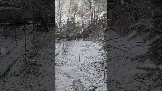 Зима вернулась в мае #загоронаяжизнь #дача
