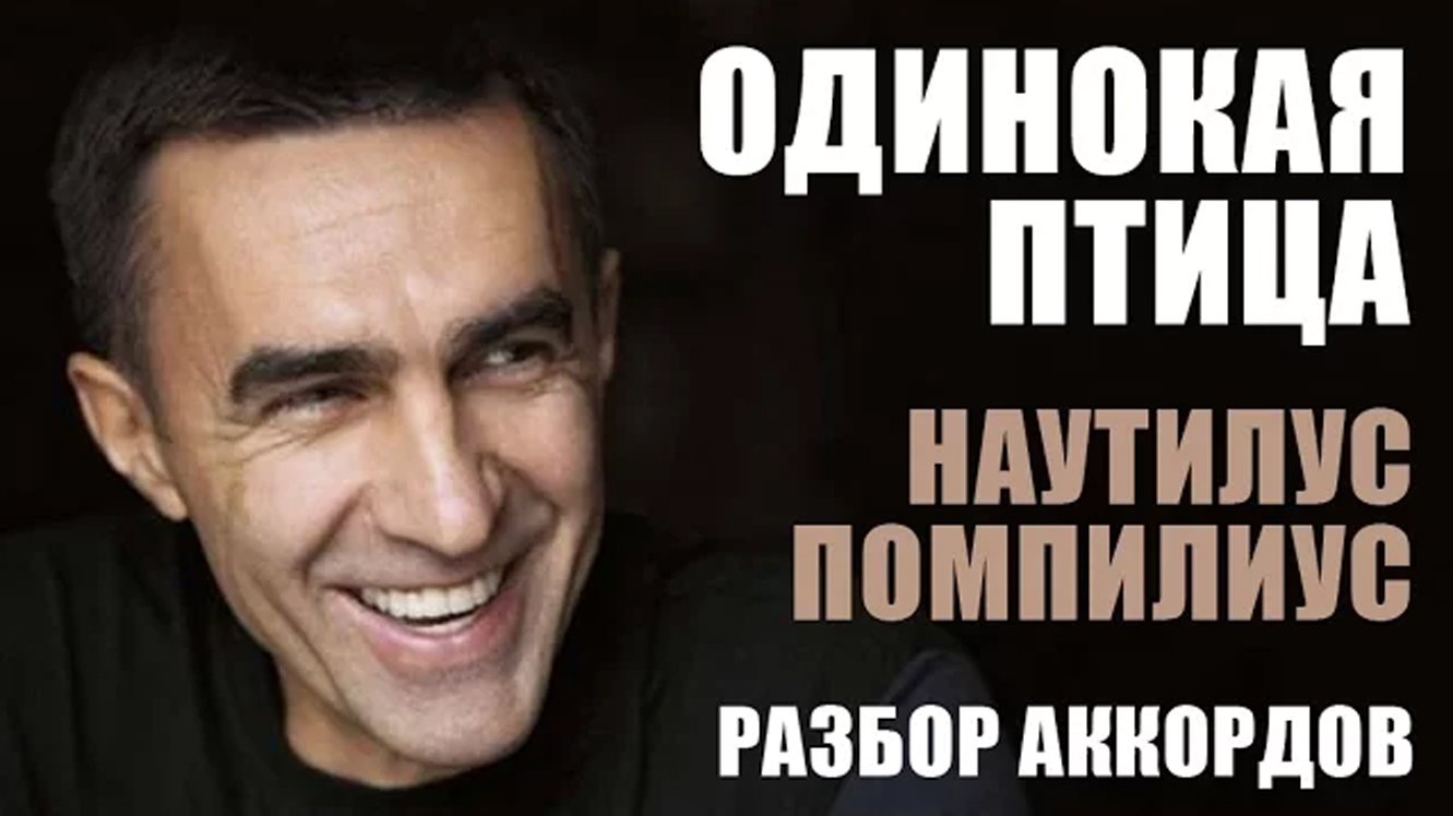 Одинокая птица - Наутилус Помпилиус (разбор аккордов)