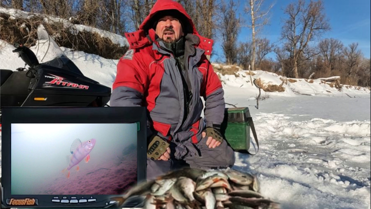 А ЕХАЛ ЗА ОКУНЯМИ !!! Рыбалка на Оби ( Сузун ) 20 января 2024г.