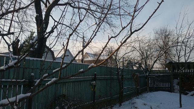 VID_20221117_145255.mp4Не зная этого правила,вы не обрежете ветку правильно