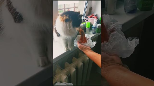 Что за монстр?😂