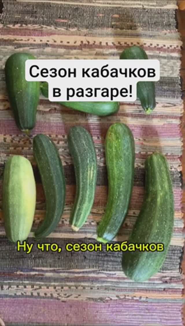 Сезон кабачков в разгаре! Как у вас с ними в этом году и что из  них делаете?